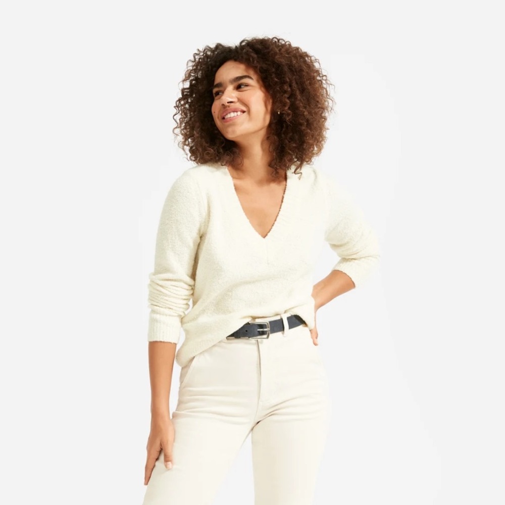 Everlane Teddy V-Neck Sweater